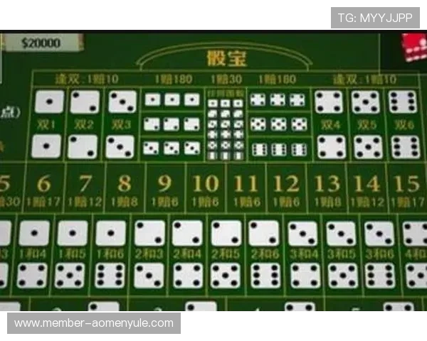 新葡京赌场不同游戏的规则与玩法详细说明 新葡京赌场不同游戏的规则与玩法详细说明