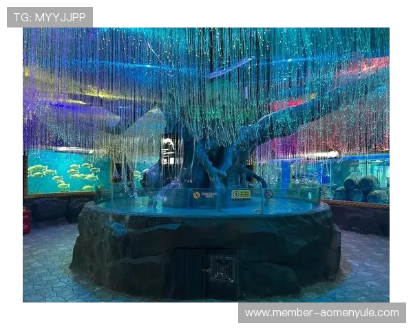 澳门回力海立方项目：促进区域交通便利与城市生活品质提升的创新项目