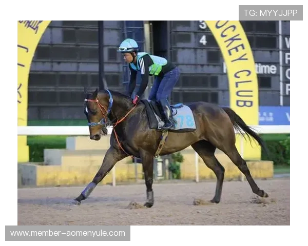 澳门赛马最新消息2024年赛马奖金调整及参赛马匹信息 澳门赛马最新消息2024年赛马奖金调整及参赛马匹信息