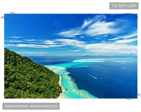 皇庭海景娱乐场：带你领略海边娱乐的极致魅力与精彩纷呈