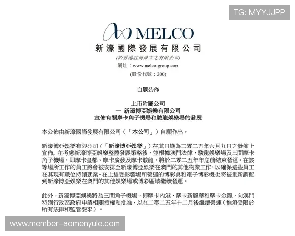 新濠国际在国际博彩和娱乐市场的竞争优势分析，打造高端旅游休闲品牌的成功经验