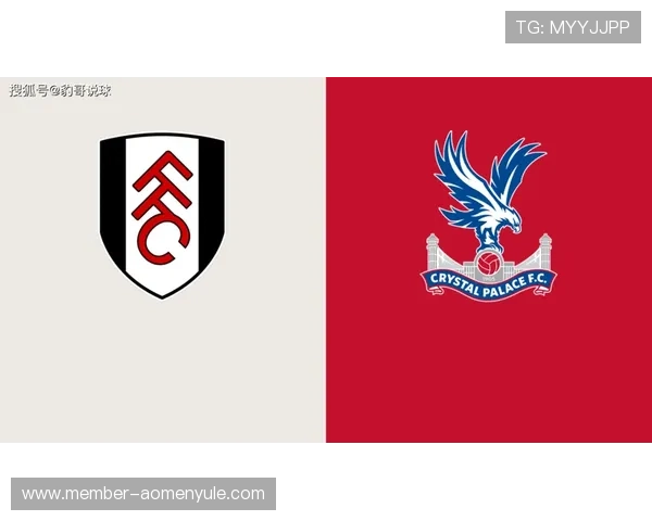 水晶宫官网队徽在球队品牌建设中的重要作用