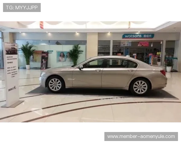 汇彩控股官网：最新投资项目动态与合作伙伴公告